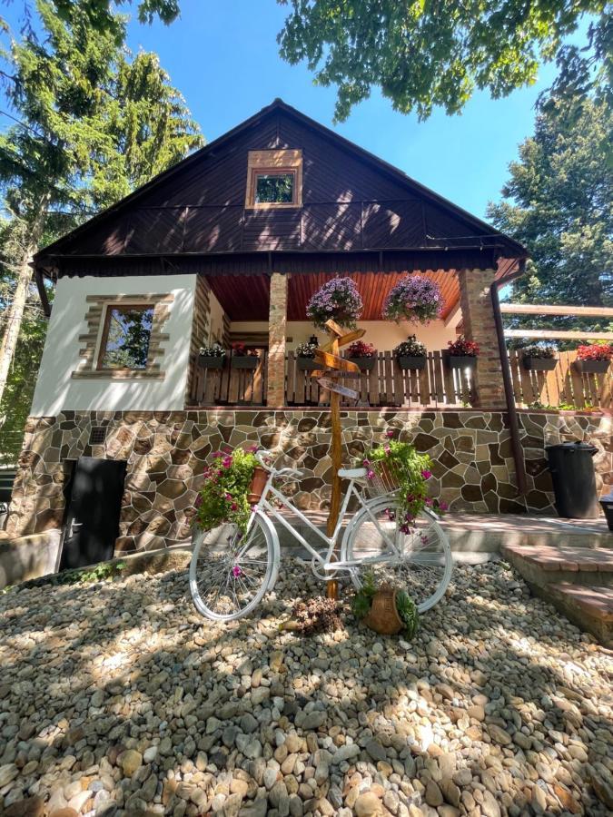 Cityside Cottage Erlau Exterior foto